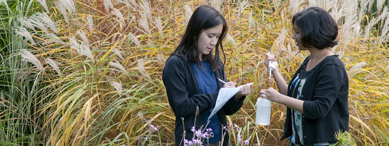 Two Smith students stand in tall grass and take specimen samples