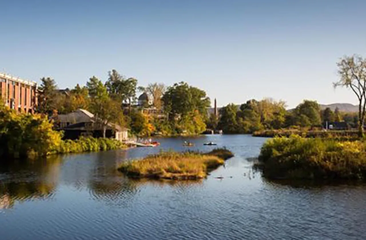Paradise Pond 