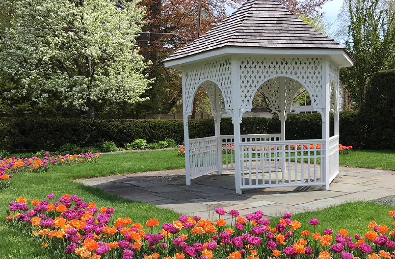 Capen garden with the flowers in bloom