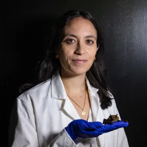 Tanya Lama holding a sleeping bat
