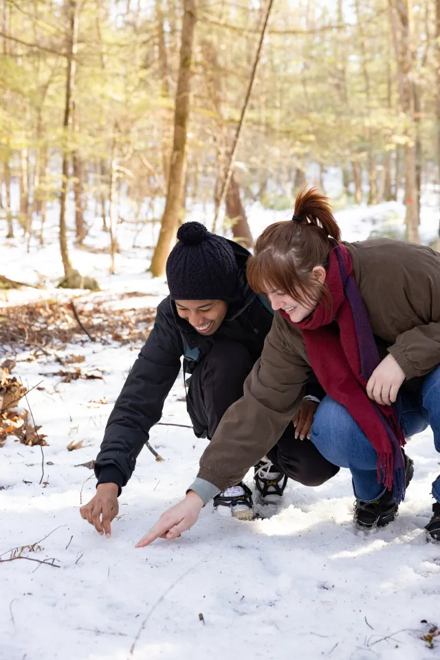 Two students bend down in the snow to examine an animal track at MacLeish Field Station