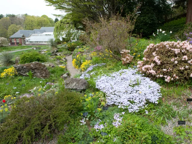 rock garden