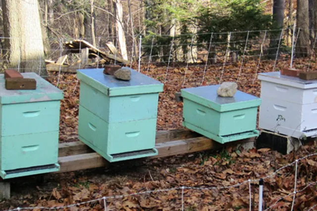 Red Barn Honey
