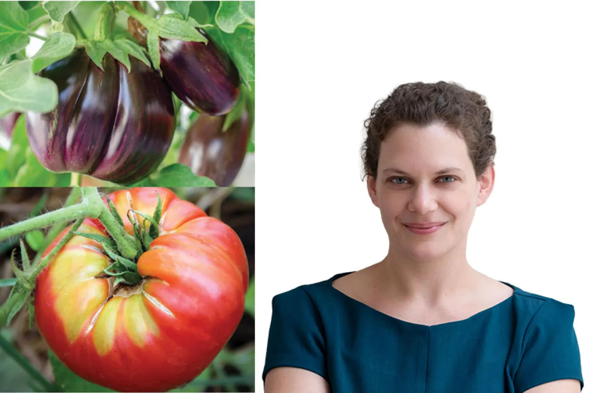 Portrait of a smiling woman with short curly brown hair and a dark blue top on the right, alongside two stacked garden photos on the left showing a deep purple ribbed eggplant growing on the vine above a large heirloom tomato.