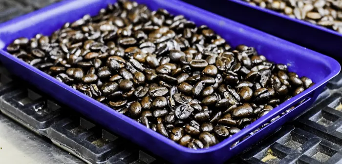 Sun Coffee Roasters