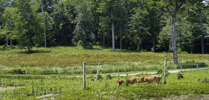 High Lawn Farm