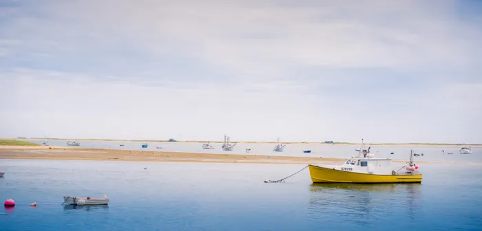 Sea to Table