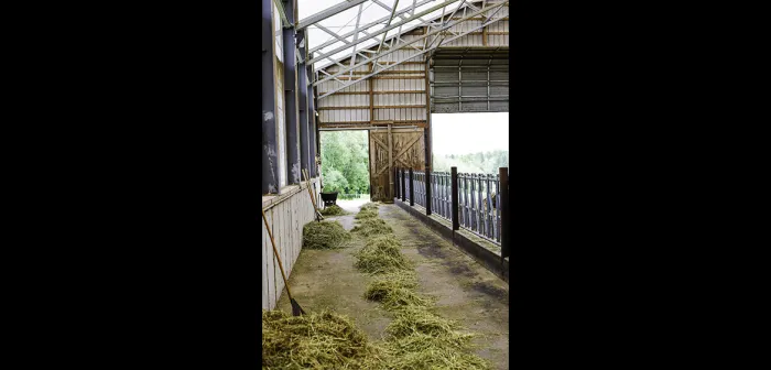 Sidehill Farm