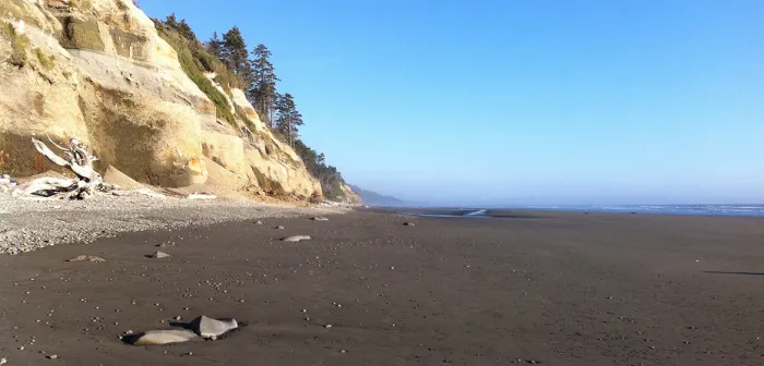 Professor Jack Loveless studies the connection between these coastal cliffs and subduction zone earthquake processes on the Olympic Peninsula in Washington State