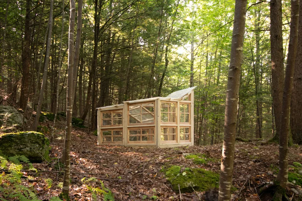A wooden structure with windows on all sides stands in the middle of the woods.