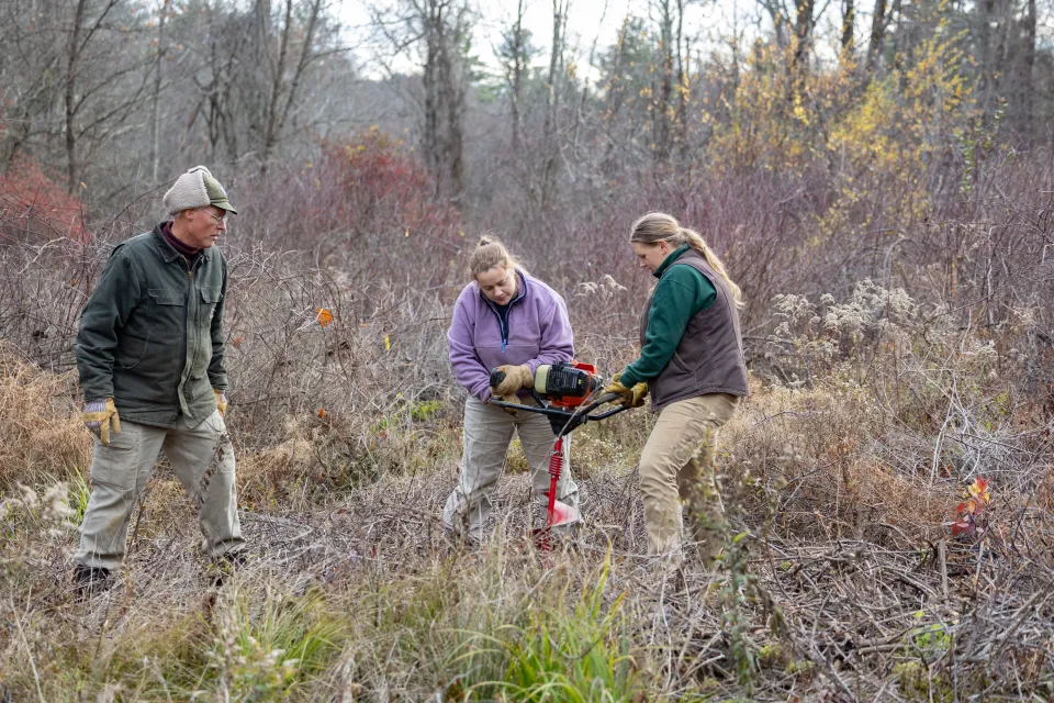 Paul Wetzel and two students at the site of a hibernaculum for snakes at MacLeish Field Station
