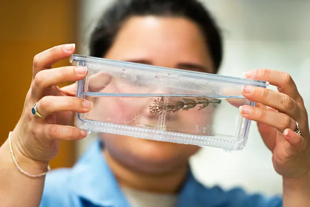 Student in laboratory